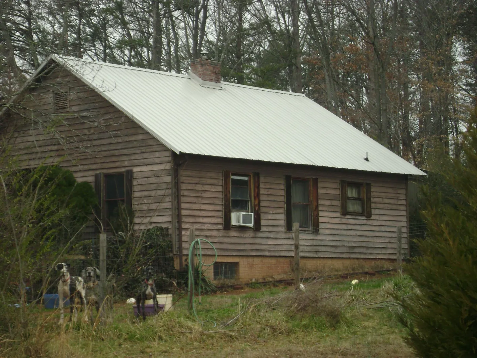 White metal roof on an old wood sided farmhouse, from a Asphalt Shingle Roof Repair job in Bethune